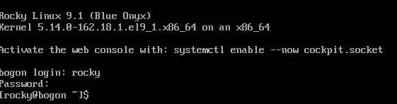 image-20230329152908790