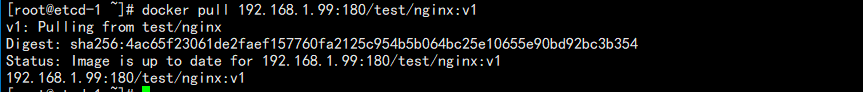 image-20240725143810683